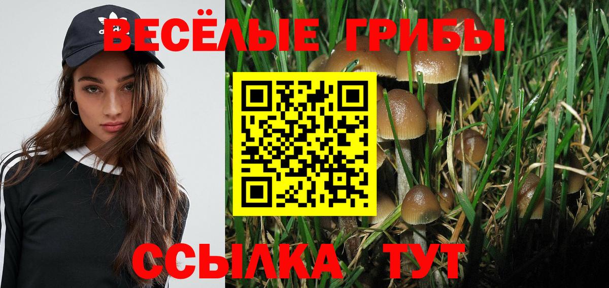 Йошкар-Ола  Псилоцибиновые грибы мухоморы  Вход с VPN 