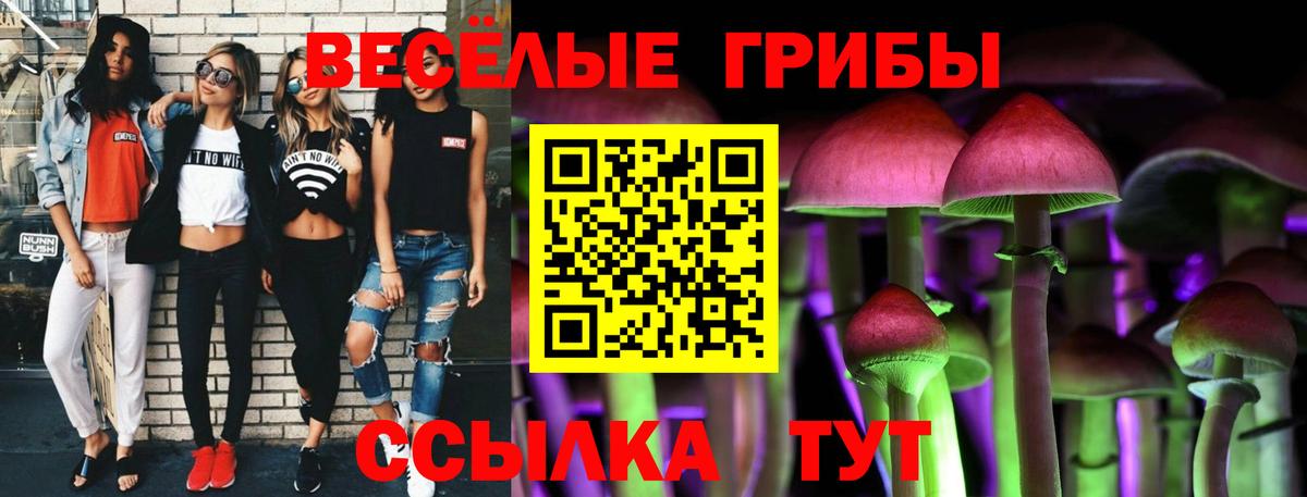 Псилоцибиновые грибы Magic Shrooms Йошкар-Ола